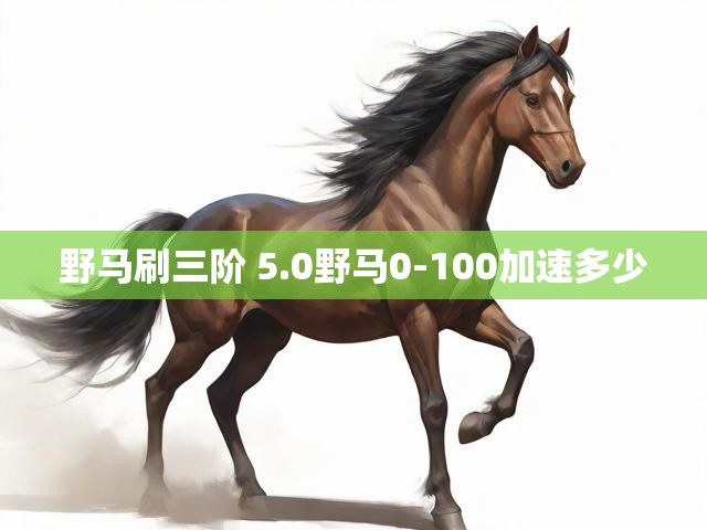 野马刷三阶 5.0野马0-100加速多少