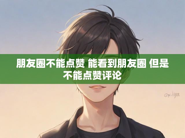 朋友圈不能点赞 能看到朋友圈 但是不能点赞评论
