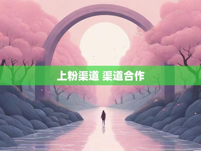 上粉渠道 渠道合作