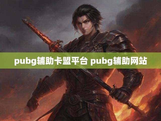 pubg辅助卡盟平台 pubg辅助网站