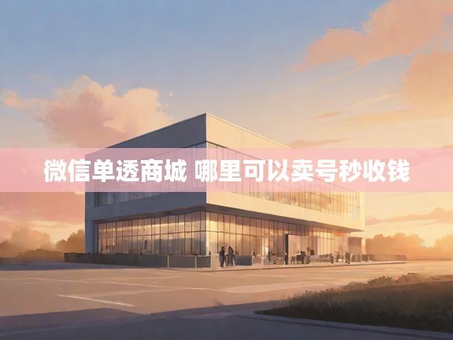 微信单透商城 哪里可以卖号秒收钱