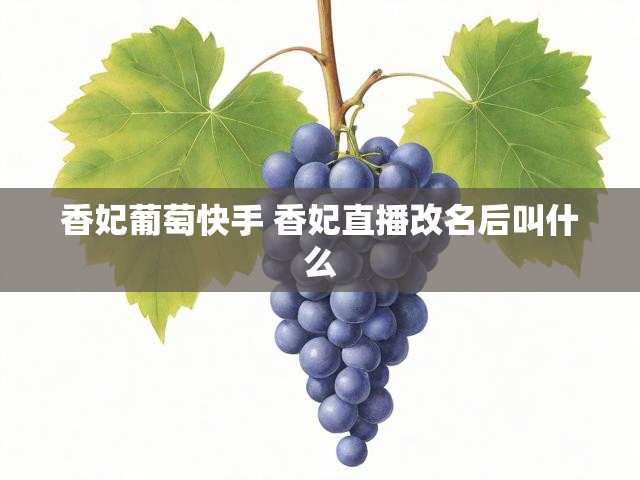 香妃葡萄快手 香妃直播改名后叫什么