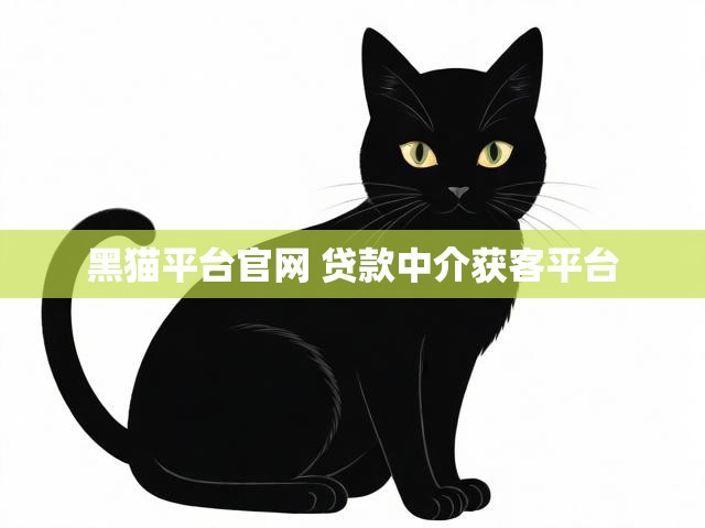 黑猫平台官网 贷款中介获客平台
