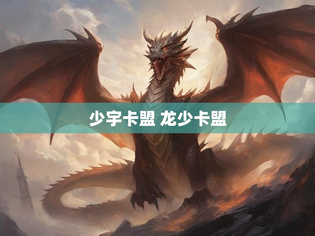 少宇卡盟 龙少卡盟