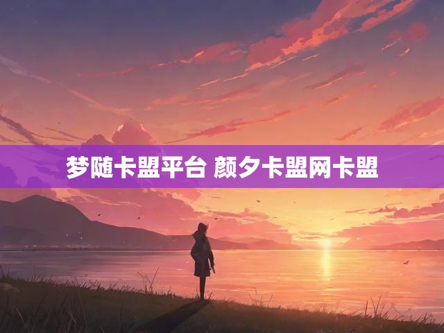 梦随卡盟平台 颜夕卡盟网卡盟