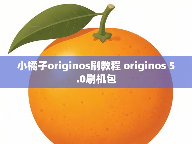 小橘子originos刷教程 originos 5.0刷机包