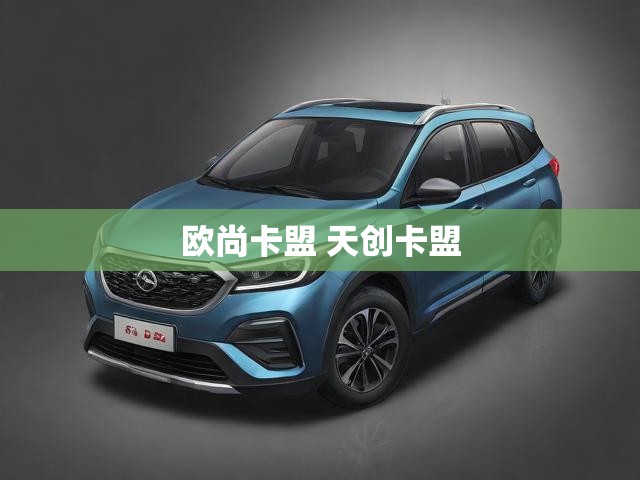 欧尚卡盟 天创卡盟
