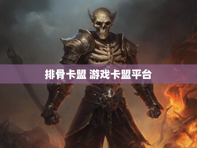 排骨卡盟 游戏卡盟平台