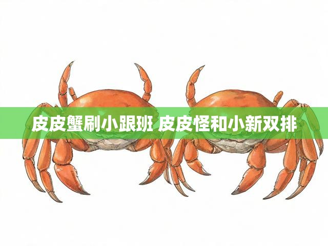 皮皮蟹刷小跟班 皮皮怪和小新双排